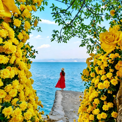 昆明+建水+元阳+普者黑景区+弥勒6日5晚拼小团