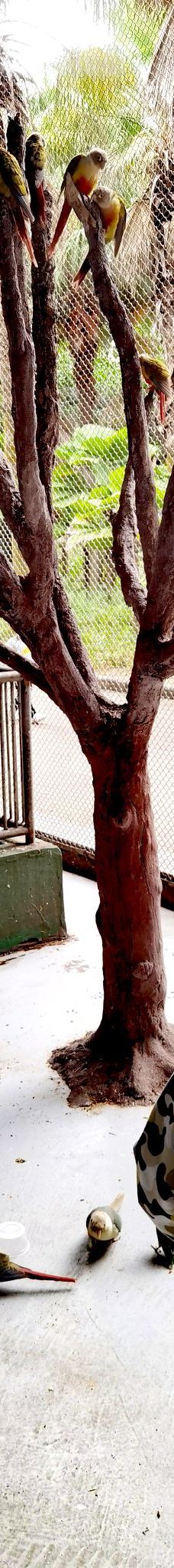 茂名森林公园-茂名