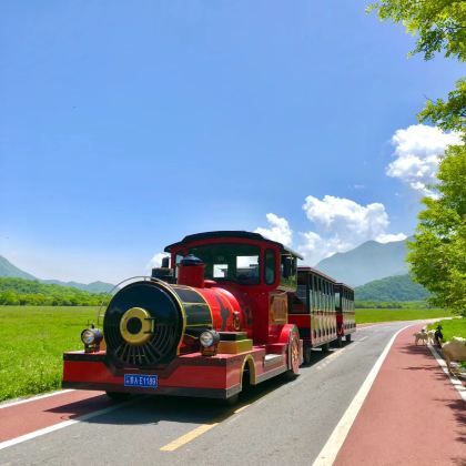 宜昌+恩施市+神农架风景区+恩施大峡谷8日7晚跟团游