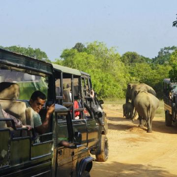 斯里兰卡10日9晚私家团