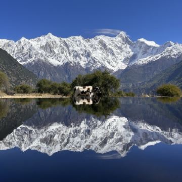 拉萨+林芝+羊卓雍错+布达拉宫6日5晚私家团