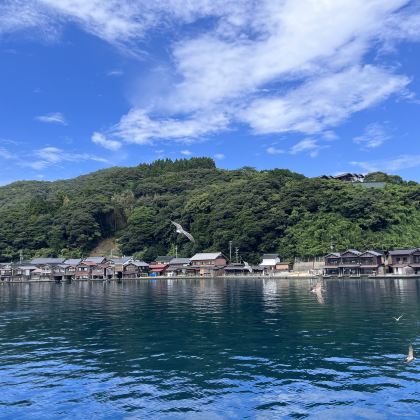 日本大阪+京都+金阁寺+清水寺+贵船神社+岚山+奈良+天桥立+伊根的舟屋+平等院8日7晚跟团游