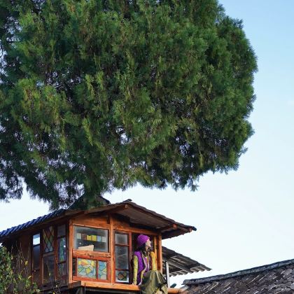 大理市+沙溪古镇+诺邓古村4日3晚私家团