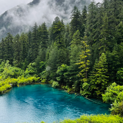 成都+九寨沟+黄龙风景名胜区5日4晚私家团