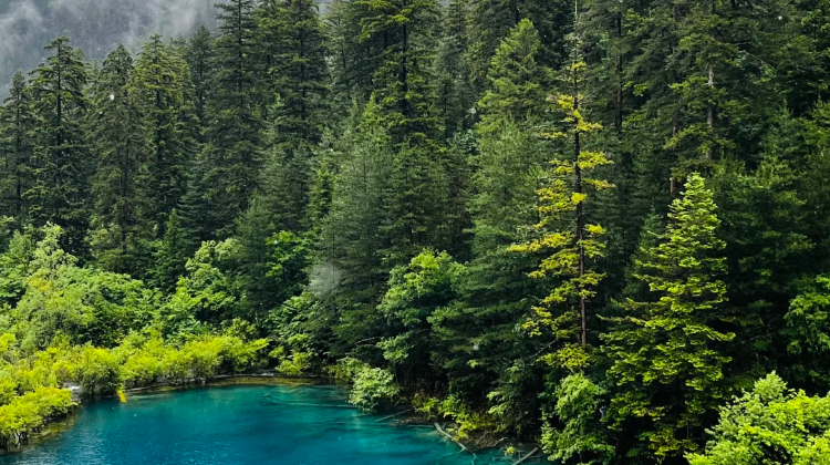 3-day 2-night · Private Tour · Jiuzhaigou + Huanglong Scenic and Historic Interest Area + Sanxingdui Museum