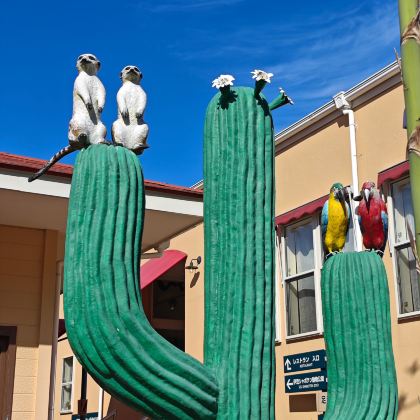 东京+富士山+日立市5日4晚跟团游