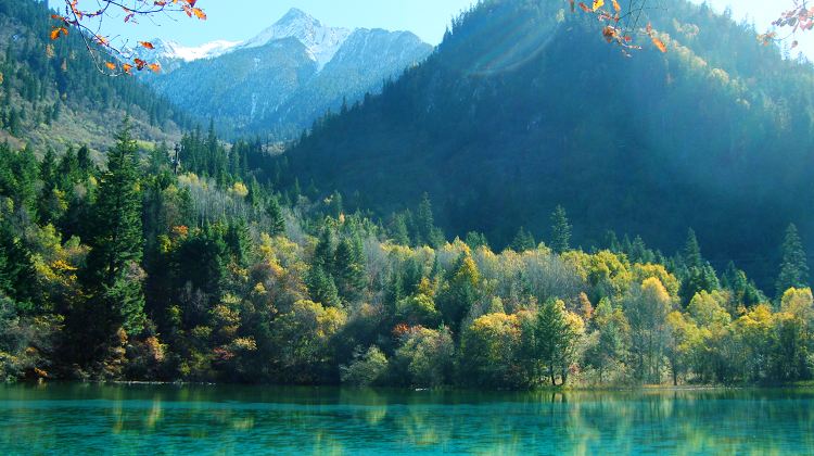 12-day 11-night · Group Tours · Chongqing + Hongya Cave + Chengdu + Zhangjiajie + Jiuzhaigou National Park + Huanglong National Scenic Area + Fenghuang Ancient Town