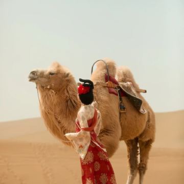 嘉峪关+敦煌莫高窟2日1晚私家团