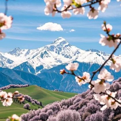 新疆北疆+伊犁+赛里木湖+那拉提旅游风景区7日6晚私家团