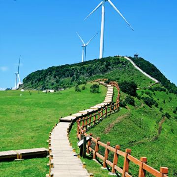 贵州毕节+百里杜鹃风景区+六盘水乌蒙大草原5日4晚私家团