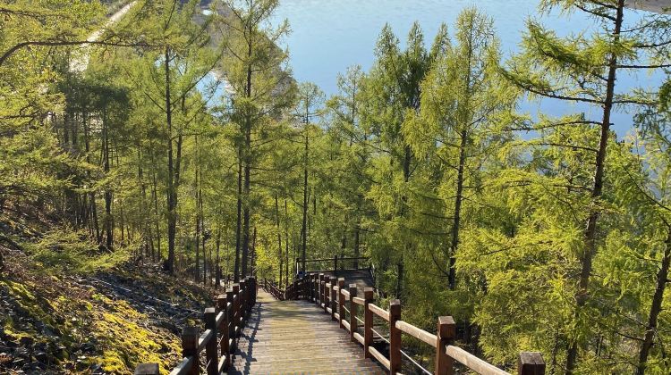 5D4N · Group Tours · Heilongjiang + Mohe + Arctic Village + Beihong Village + The First Bay of Longjiang