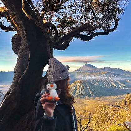 新加坡+印度尼西亚泗水+布罗莫火山+赛武千层瀑布+罗威纳海滩+佩妮达岛+巴厘岛9日8晚跟团游