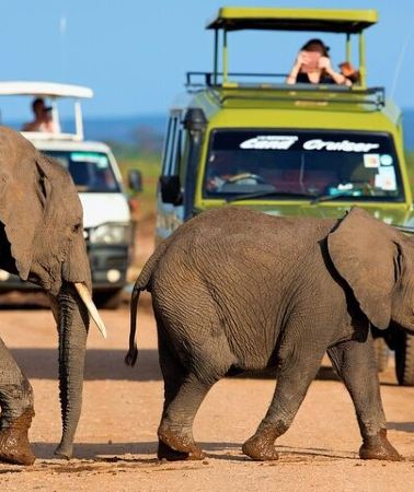 5D4N • 5 Days Amboseli and Tsavo West National Park Wildlife Safari