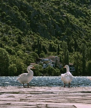 7D6N • 7-Day Northern Greece Tour – Meteora, Kastoria & Thessaloniki