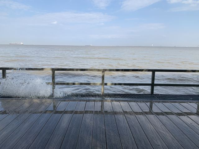 上海滨海森林公园旅行图片 1