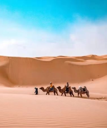 5D4N • Hohhot + Whistling Dune Bay