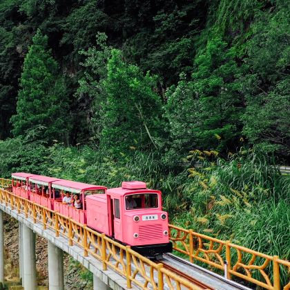 丽水4日3晚跟团游