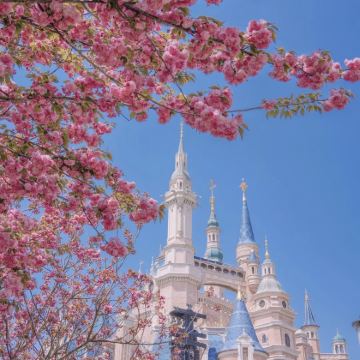 上海迪士尼度假区2日1晚私家团