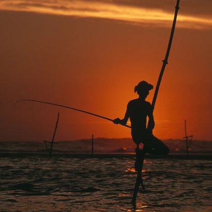 斯里兰卡8日7晚私家团