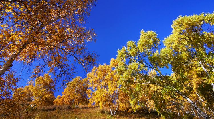 6-Day Hohhot + Ordos Prairie + Whistling Dune Bay + Kubuqi Desert