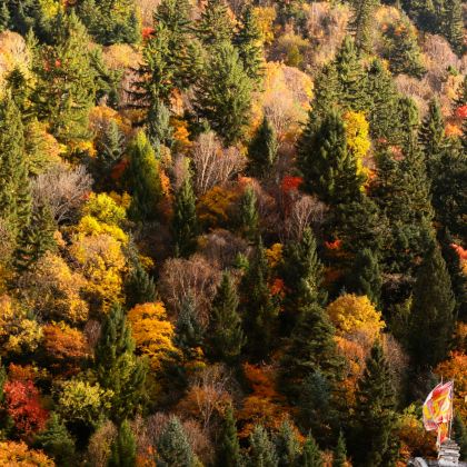成都+稻城+新都桥+稻城亚丁7日6晚跟团游