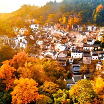 黄山+宏村景区+婺源篁岭景区4日3晚跟团游