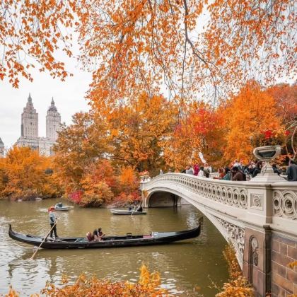 美国12日9晚私家团