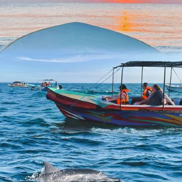 斯里兰卡科伦坡+康提+尼甘布+美蕊沙9日8晚私家团