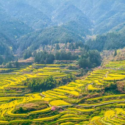 江西景德镇+婺女洲度假区+婺源篁岭景区+望仙谷+葛仙村度假区5日4晚私家团