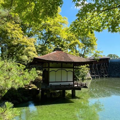 日本京都府6日5晚私家团