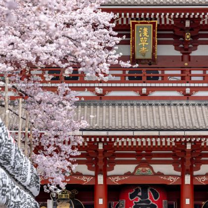 日本东京+富士山+日光市7日6晚私家团