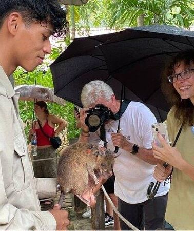 2D1N • 2 Days Angkor Wat Small Tour , Floating Village &APOPO Center
