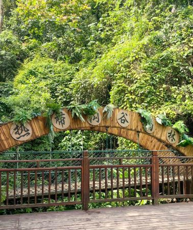 5D4N • Xishuangbanna: 5-Day Private Tour with Airport Transfer