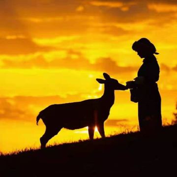 内蒙古鄂尔多斯+准格尔黄河大峡谷+响沙湾+鄂尔多斯大草原+成吉思汗陵4日3晚私家团