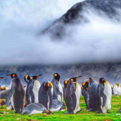 阿根廷乌斯怀亚+南极洲+南极半岛+南乔治亚岛+福克兰群岛+南设得兰群岛24日跟团游