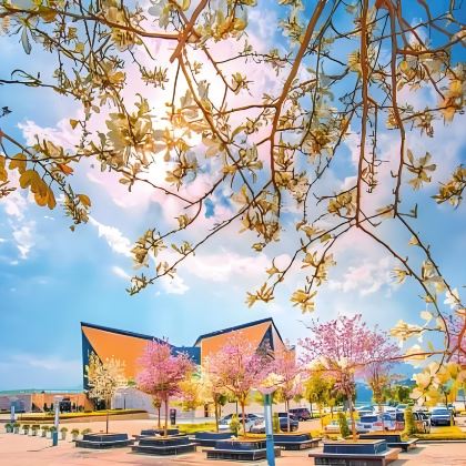 攀枝花+会理古城+颛顼龙洞旅游景区+二滩国家森林公园+新山梯田+太阳湖公园6日5晚私家团