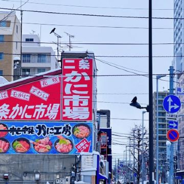 日本10日9晚私家团