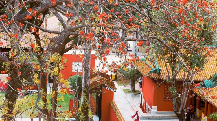 2D1N · Group Tours · GuangdongGuangzhou + Foshan + Shunde District + Qinghui Garden