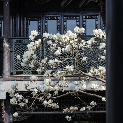 扬州+无锡4日3晚私家团