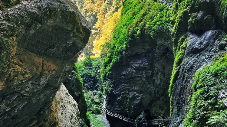 2-Day Small Group Tours: Deep tour to Chongqing Wulong district for 2 days, Three Natural Braidges, Longshuixia Fissure Gorge Cleft, Furong River Cruise