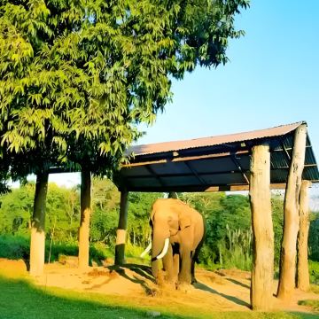 尼泊尔加德满都+奇旺+杜利凯尔7日6晚私家团