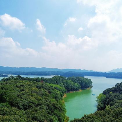 河南信阳2日1晚私家团