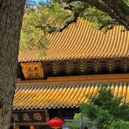 浙江舟山普陀山风景区2日1晚私家团