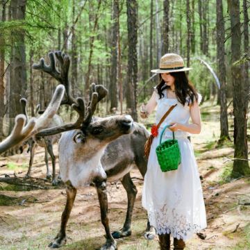 漠河+北极村+沈阳+长白山+哈尔滨10日9晚跟团游