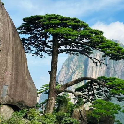 黄山+宏村景区3日2晚跟团游