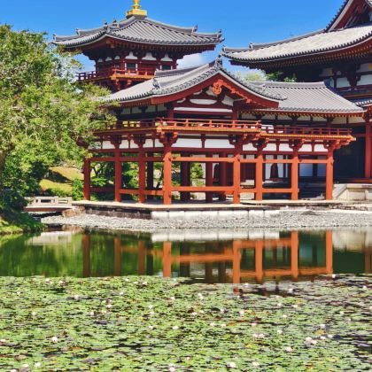 日本名古屋+高山市+金泽+富山+下吕市6日5晚私家团