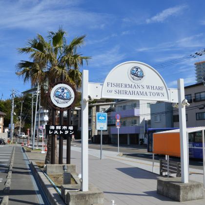 日本大阪府+高野山+熊野古道+白滨町6日5晚私家团