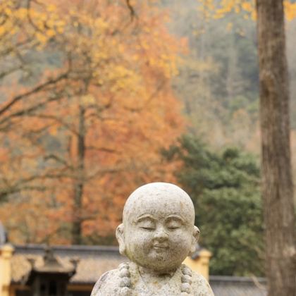 诸暨2日1晚私家团