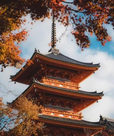 11D10N • Japan - Osaka - Kyoto - Nara - Tokyo - Mount Fuji - 11-day 10-night small group tour