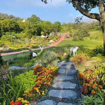 厦门鼓浪屿+云水谣景区+厦门园林植物园+福建土楼永定景区5日4晚私家团